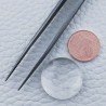 Cristallo Di Rocca Naturale Forma Tondo Piatto Cabochon Liscio Fatto a Mano 20X20X6mm 20,65 Carati 1pz