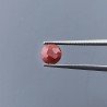 Diaspro Rosso Tondo Briolette Sfaccettato A Mano 6X6X4mm 1,10CT