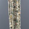 Diaspro Verde (Riolite) Perline Forma Tondo Sfaccettato 03mm