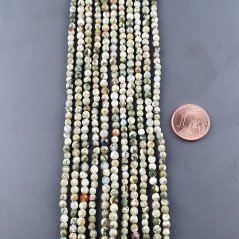 Diaspro Verde (Riolite) Perline Forma Tondo Sfaccettato 03mm