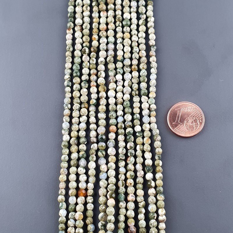 Diaspro Verde (Riolite) Perline Forma Tondo Sfaccettato 03mm