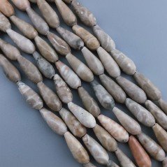 Corallo Fossile Naturale Perline Forma Goccia Tondo Sfaccettato Foro Passante 16x6mm