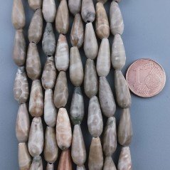 Corallo Fossile Naturale Perline Forma Goccia Tondo Sfaccettato Foro Passante 16x6mm