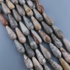 Corallo Fossile Naturale Perline Forma Goccia Tondo Sfaccettato Foro Passante 20x8mm
