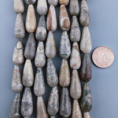 Corallo Fossile Naturale Perline Forma Goccia Tondo Sfaccettato Foro Passante 20x8mm