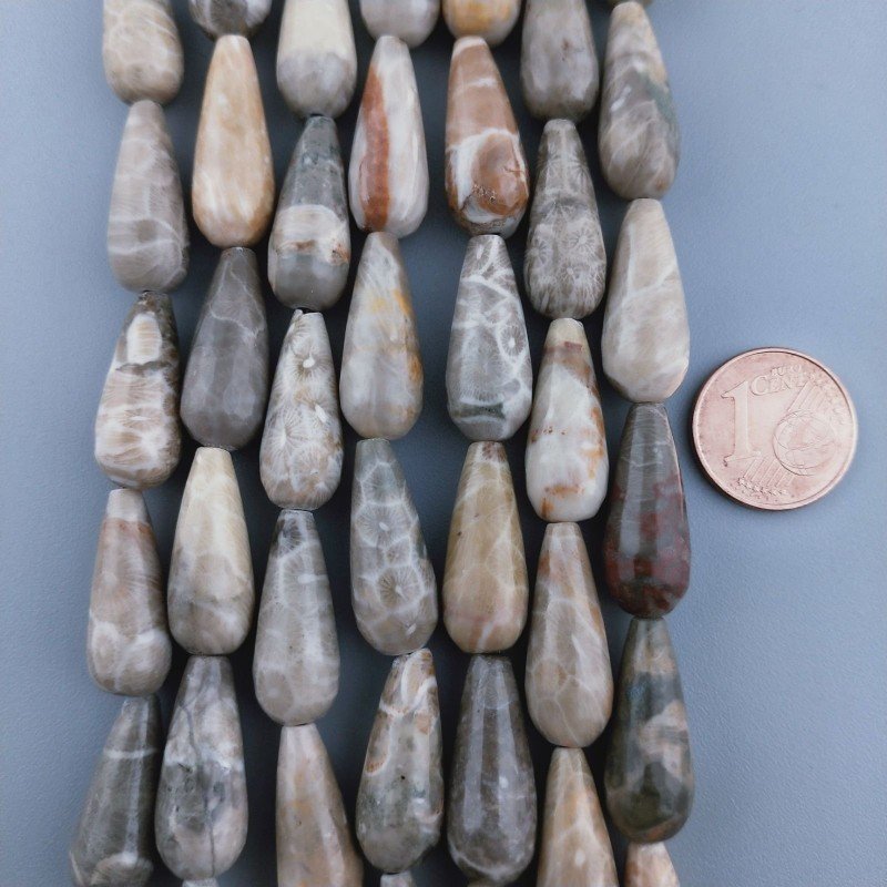 Corallo Fossile Naturale Perline Forma Goccia Tondo Sfaccettato Foro Passante 20x8mm