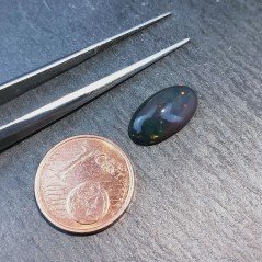 Opale Nero Welo Forma Ovale Cabochon Liscio A Mano 13X7X4mm 1,90 Carati 1pz