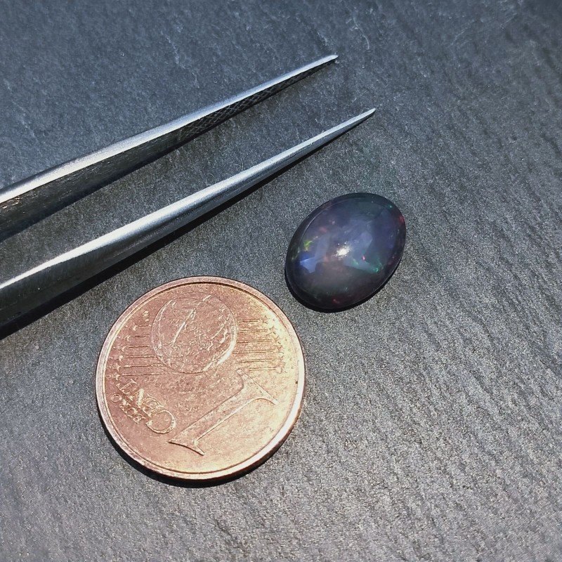 Opale Nero Welo Forma Ovale Cabochon Liscio A Mano 10X8X4mm 2,00+ Carati 1pz Opale Nero Welo Forma Ovale Cabochon Liscio A Mano 10X8X4mm 2,00+ Carati 1pz