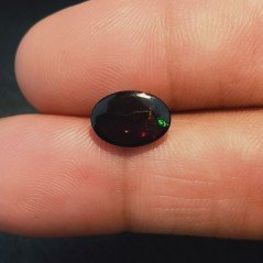 Opale Nero Welo Forma Ovale Cabochon Liscio A Mano 11X7X4mm 1,75 Carati 1pz Opale Nero Welo Forma Ovale Cabochon Liscio A Mano 11X7X4mm 1,75 Carati 1pz