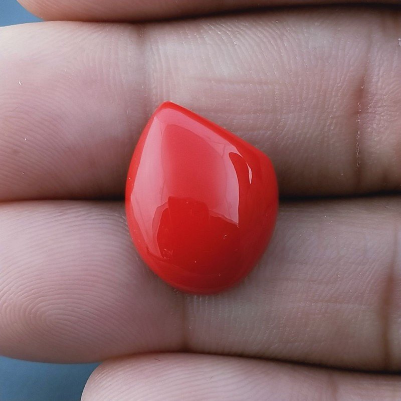 Corallo Bamboo Idrotermale Forma Fantasia Cabochon Fatto A Mano 15X14X6mm 12,00 Carati 1pz