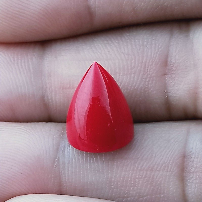 Corallo Bamboo Idrotermale Forma Punta Di Proiettile Cabochon Fatto A Mano 11X13mm 8,55 Carati 1pz