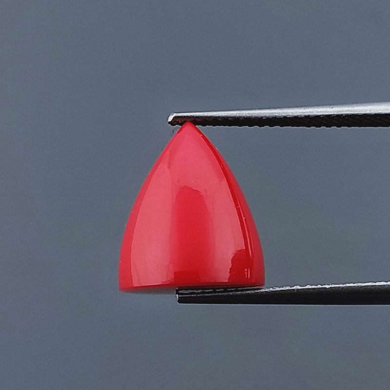 Corallo Bamboo Idrotermale Forma Punta Di Proiettile Cabochon Fatto A Mano 11X13mm 8,55 Carati 1pz
