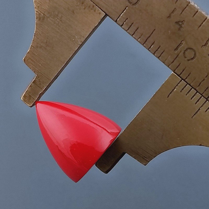 Corallo Bamboo Idrotermale Forma Punta Di Proiettile Cabochon Fatto A Mano 11X13mm 8,55 Carati 1pz