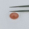 Pietra Di Luna Pesca Forma Ovale Cabochon Fatto A Mano 14X10X5mm 5,00+ Carati 1pz