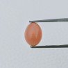 Pietra Di Luna Pesca Forma Ovale Cabochon Fatto A Mano 14X10X5mm 5,00+ Carati 1pz