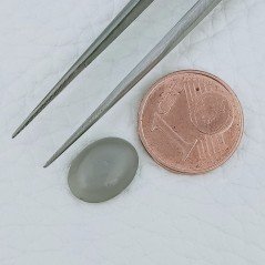 Pietra Di Luna Grigia Forma Ovale Cabochon Fatto A Mano 11X8-9X4-5mm 4,00+ Carati 1pz Pietra Di Luna Grigia Forma Ovale Cabochon Fatto A Mano 11X8-9X4-5mm 4,00+ Carati 1pz