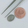 Pietra Di Luna Grigia Forma Ovale Cabochon Fatto A Mano 11X8-9X4-5mm 4,00+ Carati 1pz