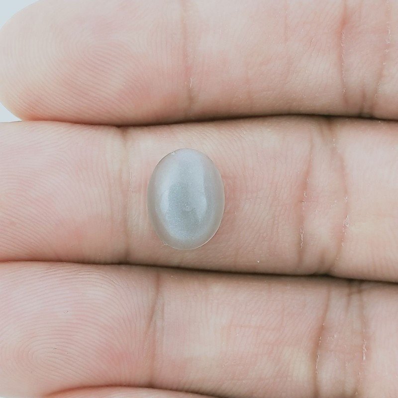Pietra Di Luna Grigia Forma Ovale Cabochon Fatto A Mano 11X8-9X4-5mm 4,00+ Carati 1pz Pietra Di Luna Grigia Forma Ovale Cabochon Fatto A Mano 11X8-9X4-5mm 4,00+ Carati 1pz