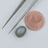 Pietra Di Luna Grigia Forma Ovale Cabochon Fatto A Mano 7X9X7mm 4,60 Carati 1pz