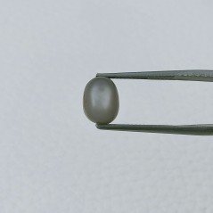 Pietra Di Luna Grigia Forma Ovale Cabochon Fatto A Mano 7X9X7mm 4,60 Carati 1pz Pietra Di Luna Grigia Forma Ovale Cabochon Fatto A Mano 7X9X7mm 4,60 Carati 1pz