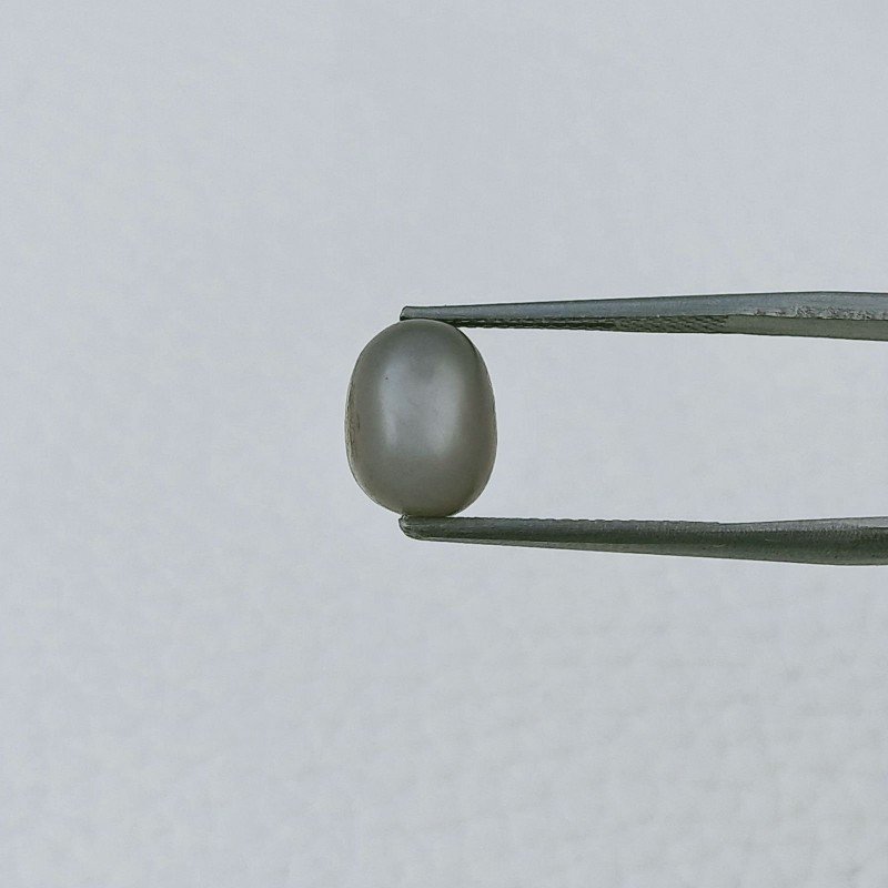 Pietra Di Luna Grigia Forma Ovale Cabochon Fatto A Mano 7X9X7mm 4,60 Carati 1pz Pietra Di Luna Grigia Forma Ovale Cabochon Fatto A Mano 7X9X7mm 4,60 Carati 1pz