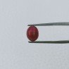 Giada Rubino Forma Ovale Cabochon Fatto A Mano 10X8X5mm 3,55 Carati 1pz