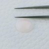 Corallo Rosa Naturale Forma Ovale Cabochon Fatto A Mano 12X9X4mm 3,95 Carati 1pz