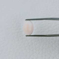 Corallo Rosa Naturale Forma Ovale Cabochon Fatto A Mano 12X9X4mm 3,95 Carati 1pz