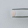 Corallo Rosa Naturale Forma Ovale Cabochon Fatto A Mano 12X9X4mm 3,95 Carati 1pz