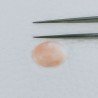 Corallo Rosa Naturale Forma Ovale Cabochon Fatto A Mano 15X11X5mm 6,70 Carati 1pz