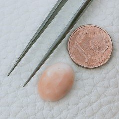 Corallo Rosa Naturale Forma Ovale Cabochon Fatto A Mano 15X11X5mm 6,70 Carati 1pz