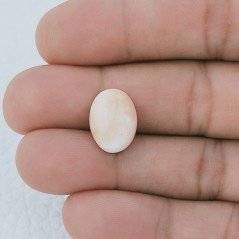 Corallo Rosa Naturale Forma Ovale Cabochon Fatto A Mano 15X11X5mm 6,70 Carati 1pz