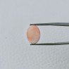 Corallo Rosa Naturale Forma Ovale Cabochon Fatto A Mano 15X11X5mm 6,70 Carati 1pz