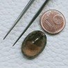 Quarzo Birra Forma Ovale Sfaccettato A Mano Gemma Sciolte 18X13X8mm 11,30 Carati 1pz