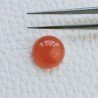 Corniola Taglio Tondo Liscio Cabuchon A Mano 14mm 11,20 Carati 1pz