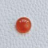 Corniola Taglio Tondo Liscio Cabuchon A Mano 14mm 11,20 Carati 1pz