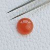 Corniola Taglio Tondo Liscio Cabuchon A Mano 14mm 11,20 Carati 1pz