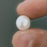 Perle Di Fiume Forma Irregolare (AA) 10X7mm 6,20 Carati 1pz