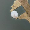 Perle Di Fiume Forma Irregolare (AA) 10X7mm 6,20 Carati 1pz