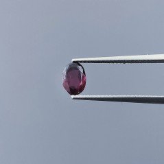 Granato Rodolite Forma Ovale Sfaccettato A Mano Gemma Sciolte 6X4X2mm 1,00 Carati 1pz