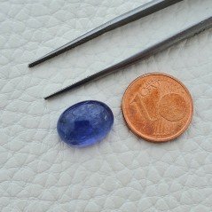 Tanzanite Naturale Forma Ovale Piatto Cabochon Liscio Fatto a Mano 13X10X6mm 8,30 Carati 1pz Tanzanite Naturale Forma Ovale Piatto Cabochon Liscio Fatto a Mano 13X10X6mm 8,30 Carati 1pz