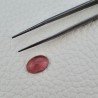 Tormalina Rosa Naturale Forma Ovale Piatto Cabochon Liscio Fatto a Mano12X8X4mm 3,60ct
