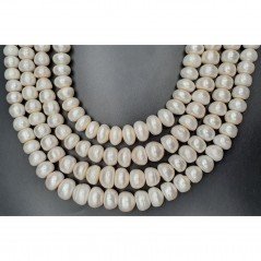 Perle di fiume rondelle cipolle a gradazione 11.5mm