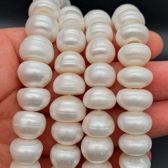 Perle di fiume rondelle cipolle a gradazione 11.5mm