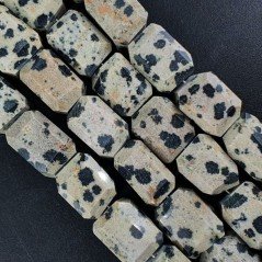 Diaspro Dalmata Naturale Sassi Sfaccettate A Mano Taglia Gemma