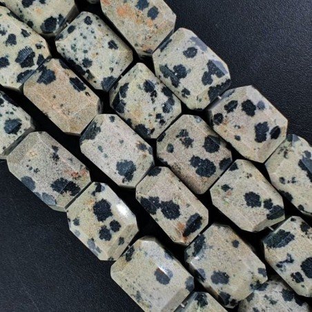 Diaspro Dalmata Naturale Sassi Sfaccettate A Mano Taglia Gemma