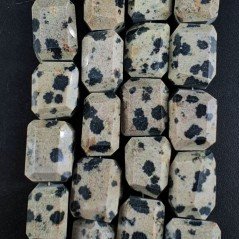Diaspro Dalmata Naturale Sassi Sfaccettate A Mano Taglia Gemma