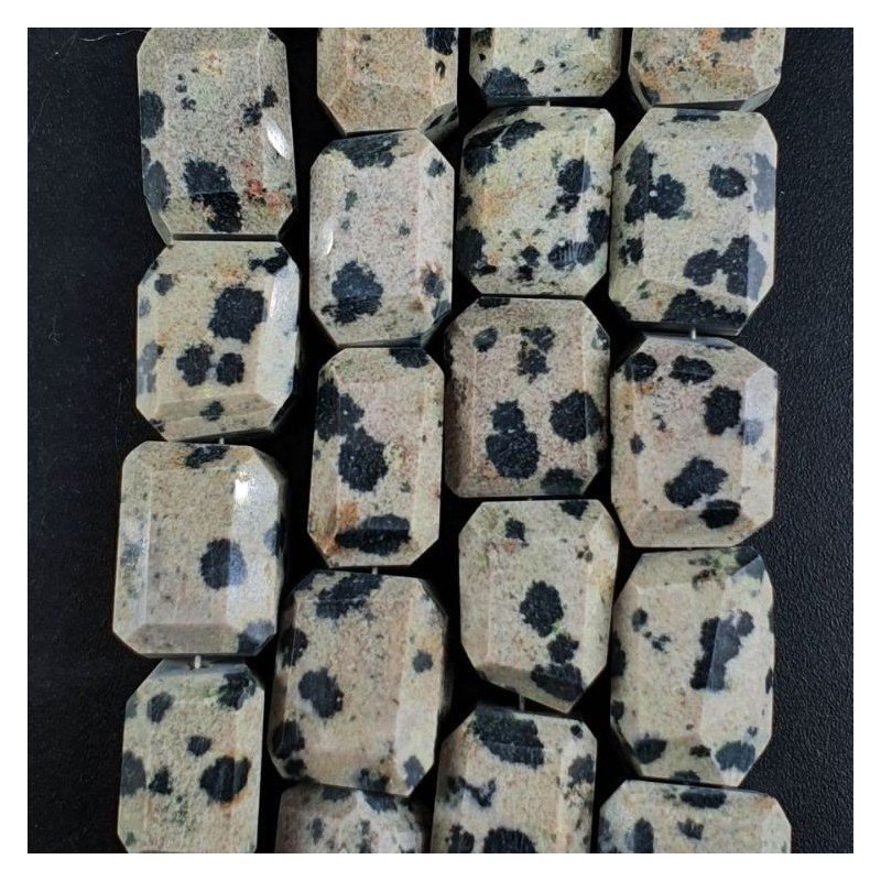 Diaspro Dalmata Naturale Sassi Sfaccettate A Mano Taglia Gemma