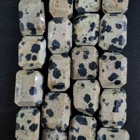 Diaspro Dalmata Naturale Sassi Sfaccettate A Mano Taglia Gemma