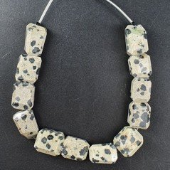 Diaspro Dalmata Naturale Sassi Sfaccettate A Mano Taglia Gemma
